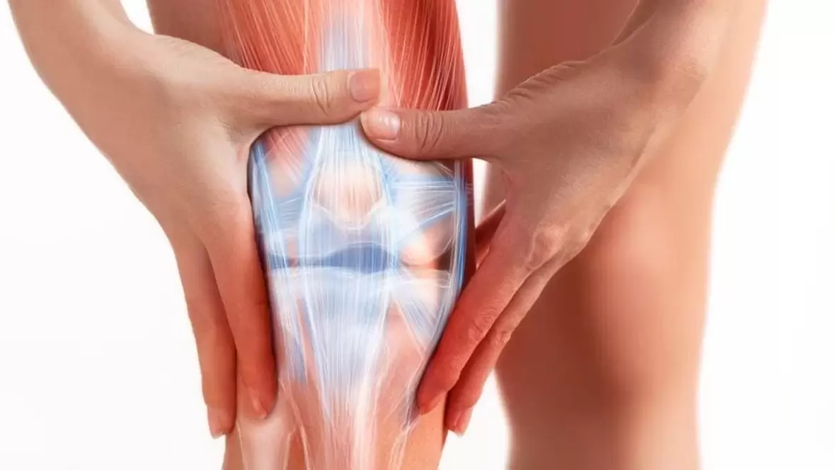 Osteflex Gel wird dreimal täglich auf den betroffenen Gelenkbereich aufgetragen